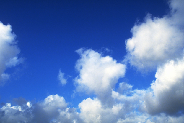 水猪命五行缺什么