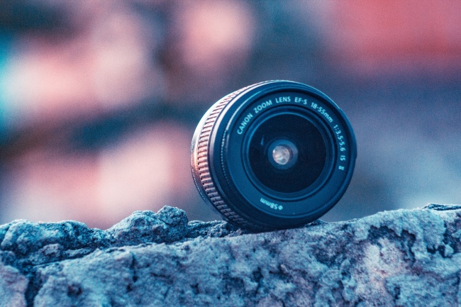 梦见两头大象是什么意思