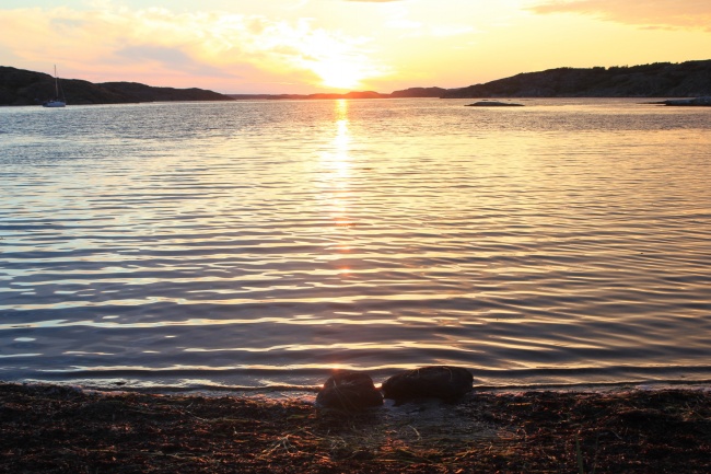 2027年属虎贵人运在几月