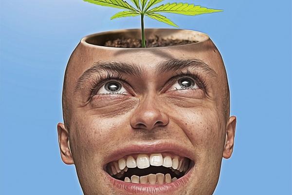 羊宝宝几月出生最好命